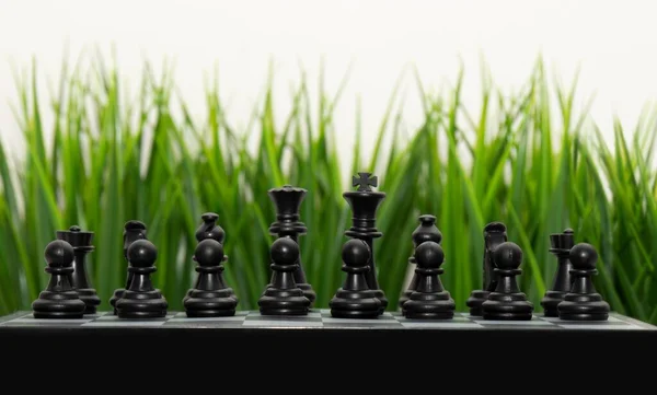 Правильне Розташування Шахів Тлі Зеленої Трави Літні Шахові Турніри Шахова — стокове фото