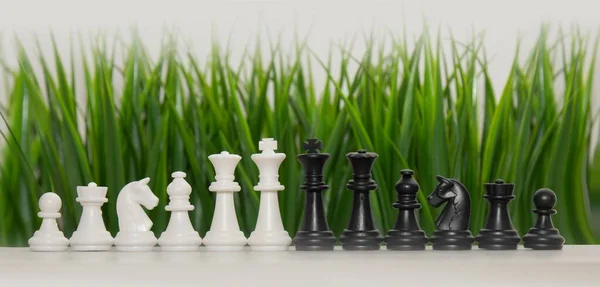 Summer chess tournaments . Chess on the background of grass. All chess pieces. Advertising of a chess school. High quality photo