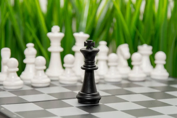 Чорний Король Шахів Стоїть Перед Армією Білих Шахових Фігур Концепція — стокове фото