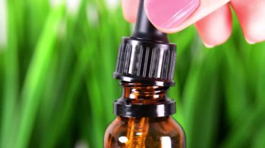 Pipet nükteli yağ, serum ezmesi. Cam bir pipetten bir şişeye altın yağ damlatıyor. Yüz jölesi, serum, gerekli yağ. Yeşil Gras kozmetik arka planı. Başarısızlığı kapat