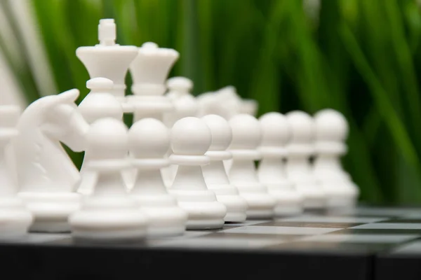 Fehér Sakkfigurák Sakktáblán Zöld Hátterében Nyári Sakkversenyek Sakk Reklám Zöld — Stock Fotó