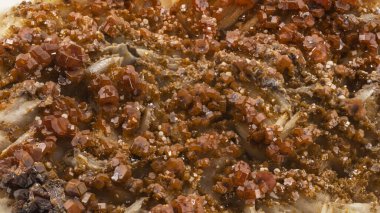 Vanadinitin portakal kırmızısı kristalleri, sekizinci sınıfa ait kurşun cevheri.