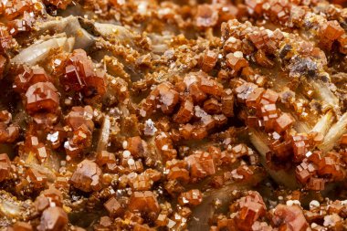 turuncu, kırmızı, vanadinit kristalleri. Sekizinci sınıfa ait kurşun mineral örneği.