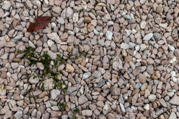 Runde Steine Auf Dem Boden Garten — Stockfoto