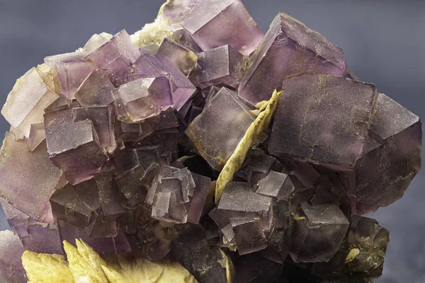 Violet Fluorite Mineral Sample Close Immagini Stock Royalty Free