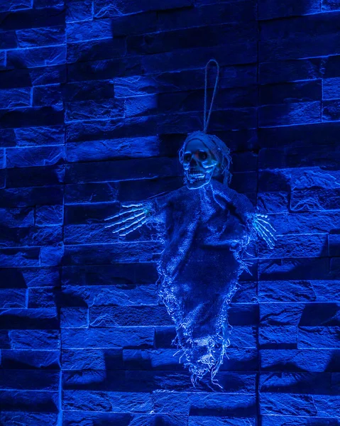 Создайте Расслабляющую Атмосферу Хэллоуина Нашим Скелетным Декором Комплекте Висящей Паутиной — стоковое фото