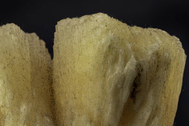 Vurucu Karanlık Ortam 'da Ayrıntılı Makro Çekim Gösterme Kalite Oluşturumu