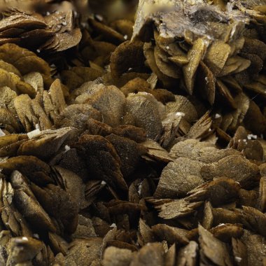 Siderite Mineral Örnekleri Görüntüleme Makro Çekimi, Dokulu Yüzeyi Vurguluyor