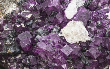 Koyu arkaplanda zengin renk kontrastlı canlı mor florit kristallerinin makro görüntüsü