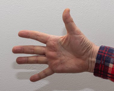 A male hand dressed in a plaid shirt extends all five fingers in a clear counting gesture against a neutral white background clipart