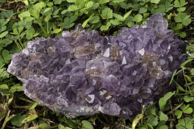 Ametist kuvars kümesi yemyeşil arka planda, koyu mor renkler yayıyor.