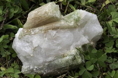 Prismatic tourmaline crystal embedded in a quartz matrix, showcased in a natural setting clipart