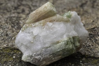 Close-up view of a vibrant, prismatic tourmaline crystal resting in a clear quartz matrix, surrounded by lush greenery, emphasizing its natural beauty and rarity clipart