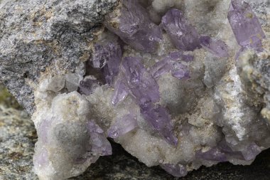 Keskin, mor ametist kristaller kümesi zıt beyaz ve gri bir matrise karşı dizilmiş, mineral oluşumlarının doğal güzelliğini ve karmaşıklığını vurguluyor.