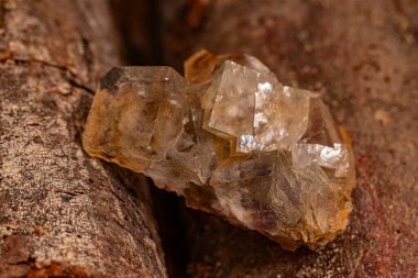 Exquisite crystal cluster with reflective surfaces beautifully positioned on a rugged wooden log, showcasing the stark contrast between mineral and natural wood clipart