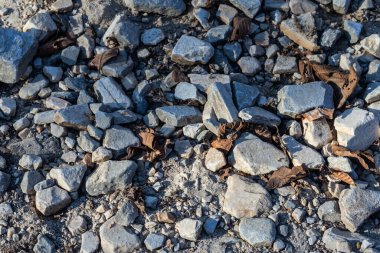 Close-up of a rough, textured ground scattered with rocks and dried leaves, illuminated by sunlight. This natural backdrop exemplifies the intricate textures and patterns found in outdoor environments, perfect for detailed studies clipart