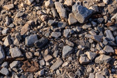 Sıcak güneş ışığı altında kurumuş yapraklarla dolu taştan bir patika, kırsal bir patikanın cazibesini yakalıyor.