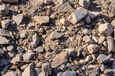 Güneş ışığı altında kurumuş yapraklarla kaplı kayalık bir yola yakın çekim, doğal ve açık arkaplan dokuları için idealdir.