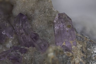 Kayalık bir matrise gömülü parlak mor ametist kuvars kristalleri. Mücevher bilimi, toprak bilimi, mineral sergileri ya da dekoratif ve resimli fotoğraf koleksiyonları için mükemmel bir makro fotoğraf.