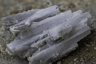 Doğal siyanit mineralinin makro çekimi paralel, lifli yapıya ve soluk mavi-gri renge sahip uzun kristaller gösteriyor. Jeoloji, bilim veya eğitim amaçlı.