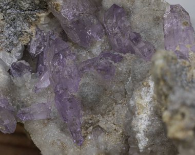 Kayalık bir matrise gömülü parlak mor ametist kuvars kristalleri. Mücevher bilimi, toprak bilimi, mineral sergileri ya da dekoratif ve resimli fotoğraf koleksiyonları için mükemmel bir makro fotoğraf.