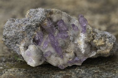 Kayalık bir matrise gömülü parlak mor ametist kuvars kristalleri. Mücevher bilimi, toprak bilimi, mineral sergileri ya da dekoratif ve resimli fotoğraf koleksiyonları için mükemmel bir makro fotoğraf.