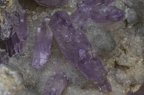 Kayalık matris üzerindeki Ametist kuvars kristalleri doğal mor şeffaflık gösteriyor. Jeoloji, mineral koleksiyonu ve eğitim veya bilimsel stok imajı için idealdir.