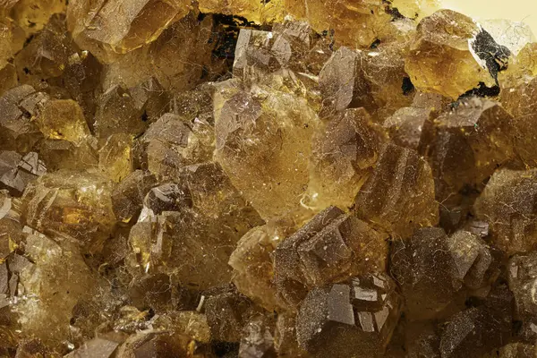 Tanımlanmış noktalar ve doğal berraklığa sahip şaşırtıcı altın kahverengi mineral kristallerinin makro çekimi, bilimsel illüstrasyon, mineralojik koleksiyonlar için uygun, ya da dekoratif değerli bir örnek olarak