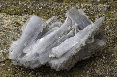 Doğal siyanit mineralinin makro çekimi paralel, lifli yapıya ve soluk mavi-gri renge sahip uzun kristaller gösteriyor. Jeoloji, bilim veya eğitim amaçlı.