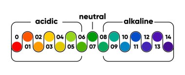 PH scale meter for acidic and alkaline solutions. Acid-base balance scale. Chemical test. Vector illustration