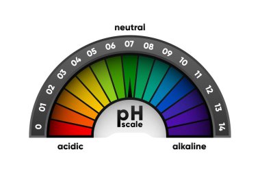 PH scale meter for acidic and alkaline solutions. Acid-base balance scale. Chemical test. Vector illustration