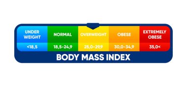 Body mass index. Weight loss concept. BMI scale. Before and after diet and fitness. Healthy lifestyle. Vector illustration