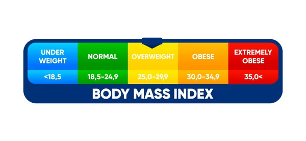 Body Mass Index Weight Loss Concept Bmi Scale Diet Fitness — Vector de stock