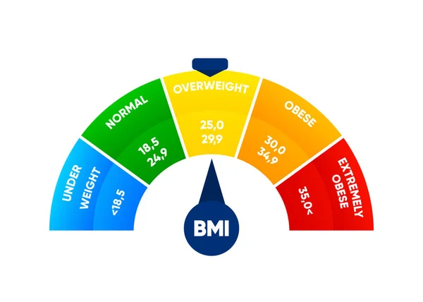 Body Mass Index Weight Loss Concept Bmi Scale Diet Fitness — Vector de stock