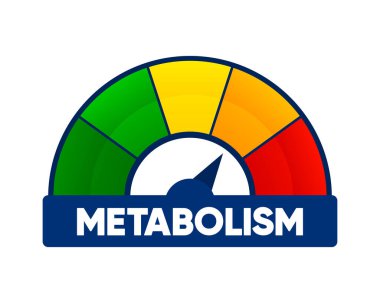 Metabolizma seviyesi ölçeği ile ok ve ölçüm değeri. Yüksek ya da düşük besin değeri olan metabolik oranlar. Beyaz arkaplanda hız göstergesi olan gösterge ögesi. Vektör illüstrasyonu