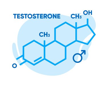 Testosteronun sembolü. İskelet formülü logosu. Seks hormonunun moleküler kimyasal formülü. Erkek seks hormonu. Vektör illüstrasyonu