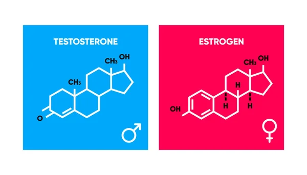 에스트로겐 테스토스테론의 공식은 로고입니다 성호르몬의 여성의 호르몬 일러스트 — 스톡 벡터