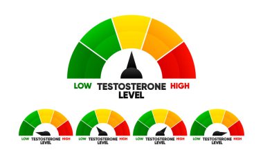 Testosteron seviyesi. Ölçek ölçüsü. Hormon göstergesi. Sağlık konsepti. Vektör İllüstrasyonu