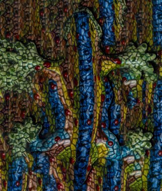 Renkli bir semendere yaklaş