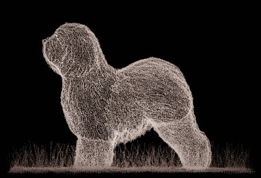 Çimlere kısa kuyruk, el çizimi