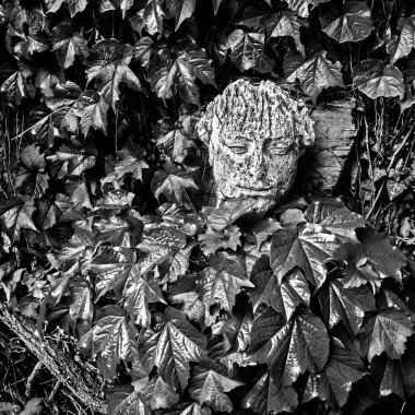 thoughts of stone in the secret garden