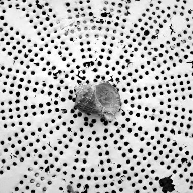  Beyaz arkaplanda RayShell dokusu