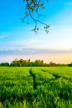 Günün en mükemmel anı.