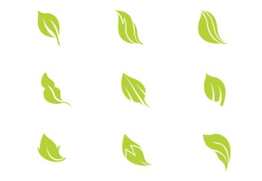 Beyaz Arkaplan 'a yaprak simgesi yerleştir. Vektör illüstrasyonu 