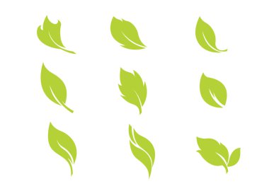 Beyaz Arkaplan 'a yaprak simgesi yerleştir. Vektör illüstrasyonu 