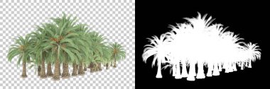 Beyaz arka planda maskeli palmiye ağaçları. 3d görüntüleme - illüstrasyon