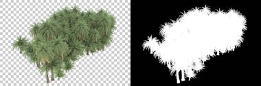 Beyaz arka planda maskeli palmiye ağaçları. 3d görüntüleme - illüstrasyon