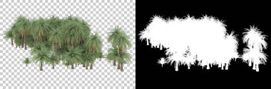 Beyaz arka planda maskeli palmiye ağaçları. 3d görüntüleme - illüstrasyon