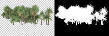 Beyaz arka planda maskeli palmiye ağaçları. 3d görüntüleme - illüstrasyon