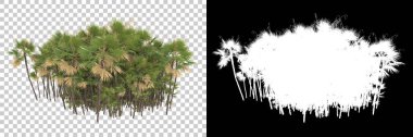 Orman beyaz arka planda maskeyle izole edilmiş. 3d görüntüleme - illüstrasyon